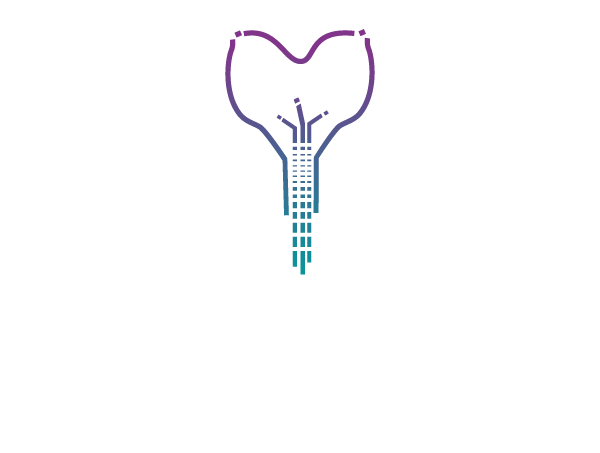 3D Digitalab